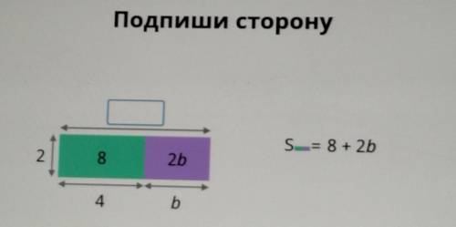 Подпиши сторону S = 8 +2b