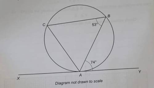 B и C - это точки на окружности круга. XY - касательная к окружности в точке A. BAY = 74 и ABC = 53 