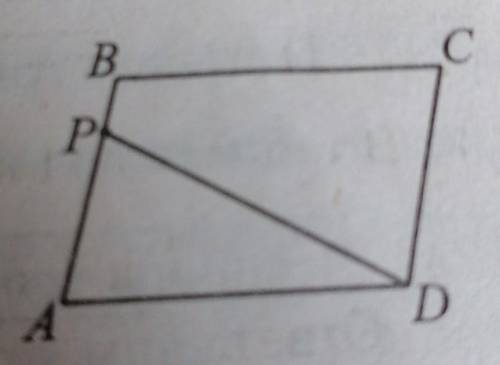 Площадь параллелограмма ABCD равна 120. На стороне АВ взята точка Р так, что площадь треугольника AP
