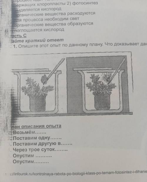 Опишите этот опыт по данному плану. что доказывает данный опыт? план описания опыта: возьмём... пост