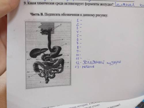 подписать обозначения к данному рисунку