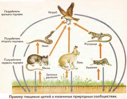 Расскажи о каком-либо природном сообществе,характерном для местности,в которой ты живёшь. У меня Кра