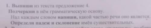 На сучке берёзы зяблики устроили гнездо.