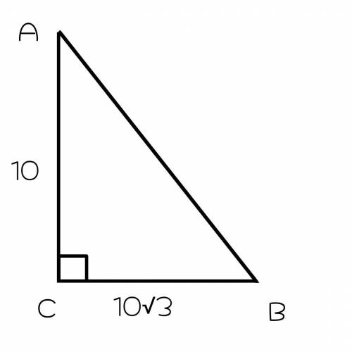 Найдите неизвестные стороны и углы прямоугольного треугольника, если его катеты равны 10 см и 10√3 с