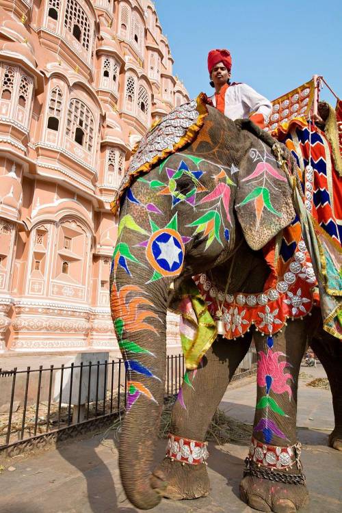 Как называются мелки или краски которыми расписуют индийских слонов на фестиваль Триссур Пурам Трисс